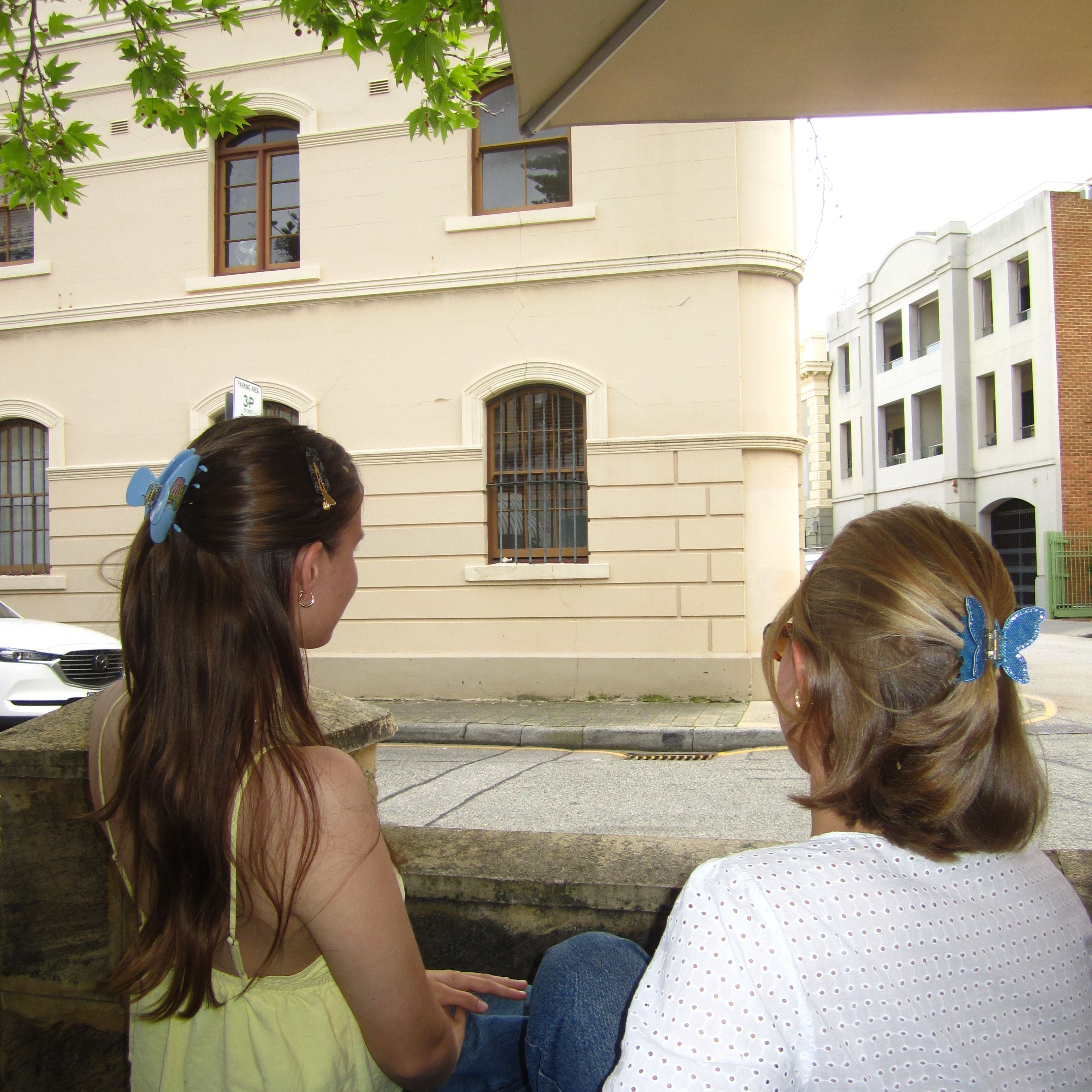 INDIGO BUTTERFLY CLAW