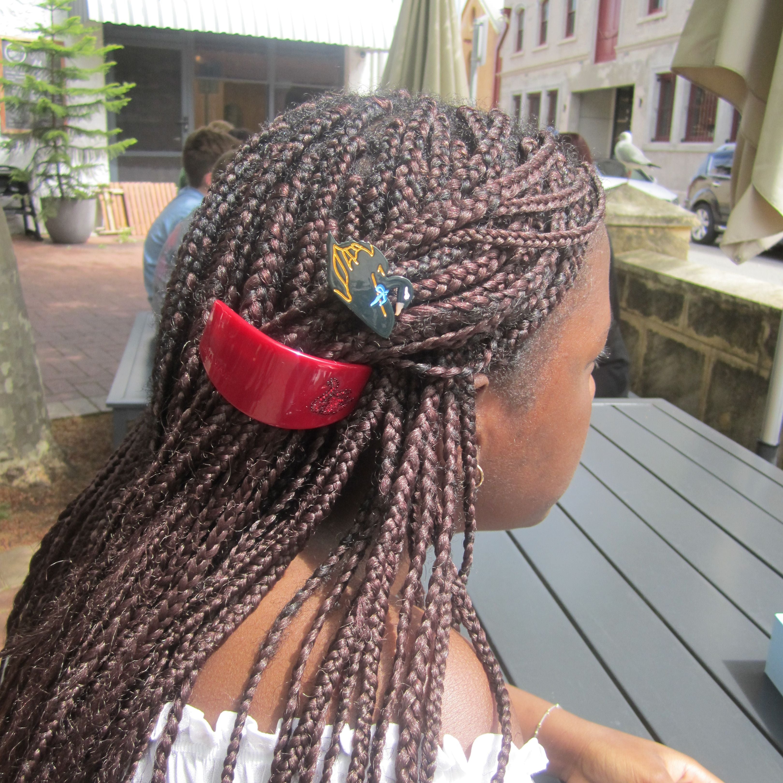 Person with braided hair wearing a luna wave red swan clip
